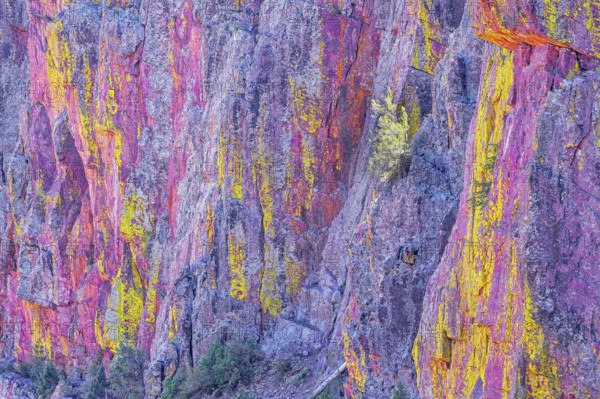 Multicoloured canyon wall, Coconino National Forest, Arizona, USA, North America