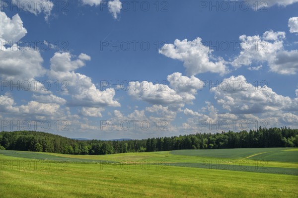 Franconian landscape with cloudy sky, Neunhof, Middle Franconia, Bavaria, Germany, Europe
