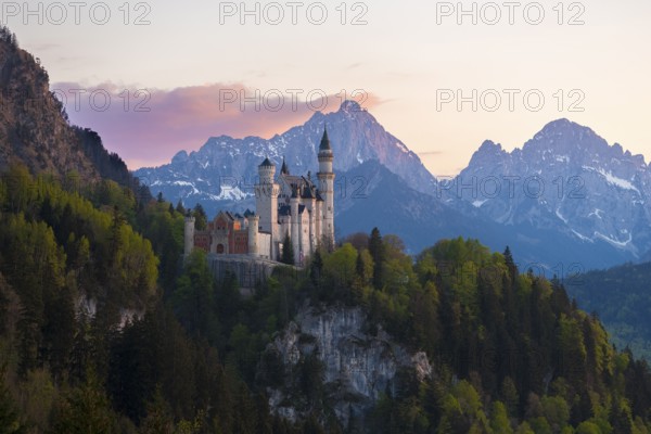 Neuschwanstein Castle after sunset with mountain landscape in the background, Schwangau near Füssen, Ostallgäu district, Swabia, Bavaria, Germany, Europe