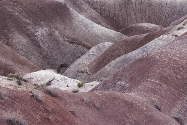 Colorful deposits of the Chinle Formation exposed at Little Painted Desert County Park near Winslow, Arizona