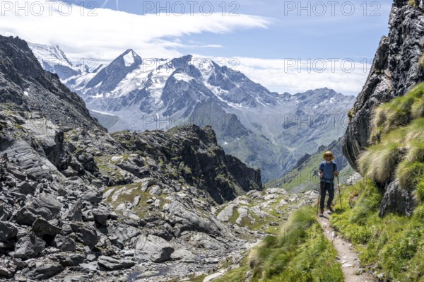 Mountaineer on hiking trail in mountain landscape, descent at Col du Louvie, view of the summit of the Grand Combine, Valais Alps, Val de Bagnes, Valais, Switzerland, Europe