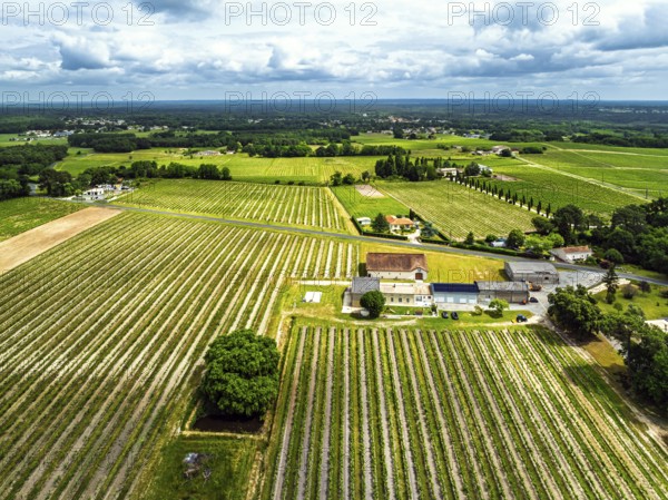 Vineyards and grape fields around Bordeaux from a drone, Saint-Mariens, Gironde, Nouvelle-Aquitaine, France, Europe