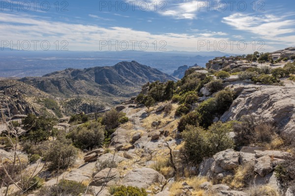 Windy Point Vista offers a view of Tucson from the Catalina Mountains along the Mt Lemmon Highway near Willow Canyon, Arizona, USA, North America