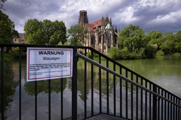 Sign, warning of blue-green algae, water is green, Johanneskirche, Feuersee, Stuttgart-West, Stuttgart, Baden-Württemberg, Germany, Europe