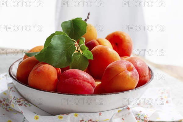 Fresh apricots in a bowl, on a bright table, natural light, top view, no people
