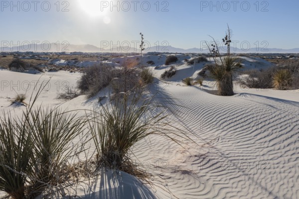 Gypsum dunefields at White Sands National Monument located within the Chihuahuan Desert and the Tularosa Basin near Alamorodo, New Mexico, USA, North America
