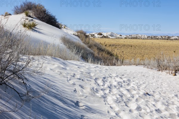 Gypsum dunefields at White Sands National Monument located within the Chihuahuan Desert and the Tularosa Basin near Alamorodo, New Mexico, USA, North America