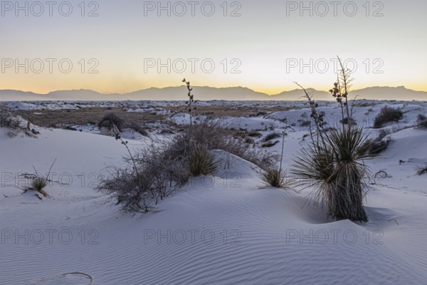 Gypsum dunefields at White Sands National Monument located within the Chihuahuan Desert and the Tularosa Basin near Alamorodo, New Mexico, USA, North America