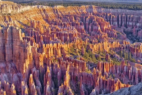 Bryce Canyon, Bryce Canyon National Park, Utah, USA, North America