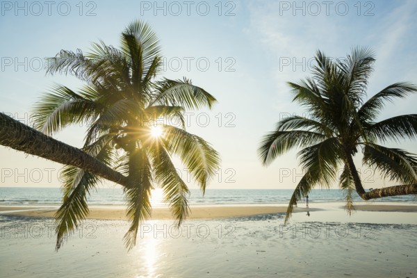 Sandy beach beach with coconut palms, Khlong Chao Beach, sunset, Koh Kood, Koh Kut, Gulf of Thailand, Thailand, Asia