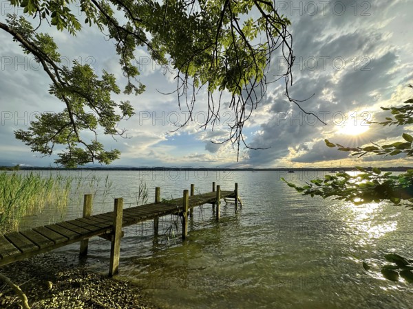Evening atmosphere, shore area at Lake Starnberg, Bavaria, Germany, Europe