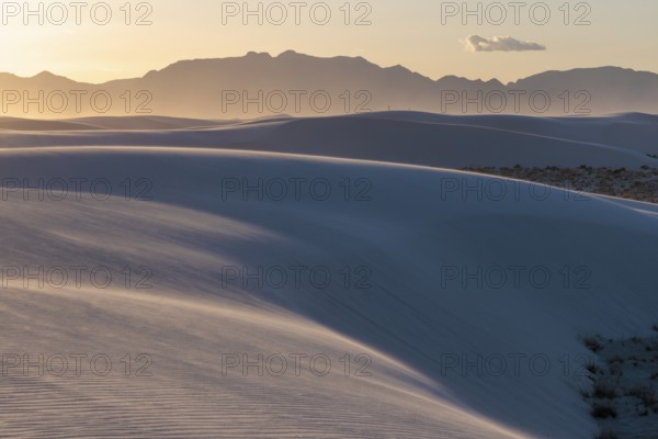 Smooth curved sand dunes in evening light at White Sands National Park in Alamogordo, New Mexico, USA, North America