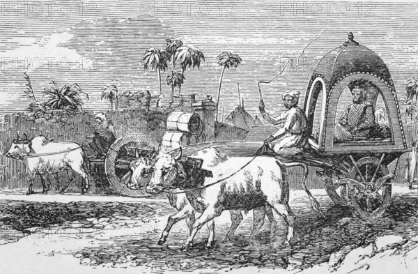 Cart drawn by oxen, Bombay, Mumbai, around 1870, India, digital reproduction of a historical model, Asia