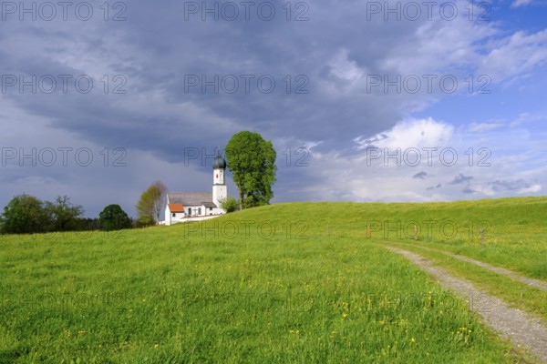 Oberbuchen, near Bad Heilbrunn, Upper Bavaria, Bavaria, Germany, Europe