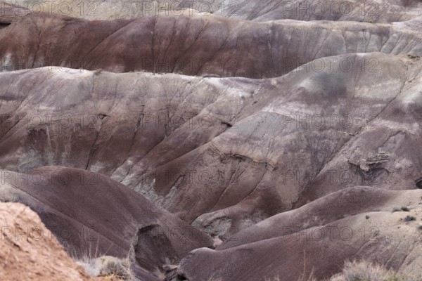 Colorful deposits of the Chinle Formation exposed at Little Painted Desert County Park near Winslow, Arizona