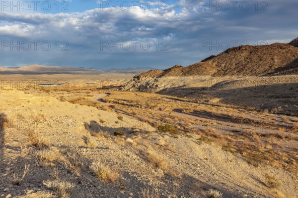 Echo wash drains into the Overton Arm of Lake Mead at Echo Bay, Nevada, USA, North America