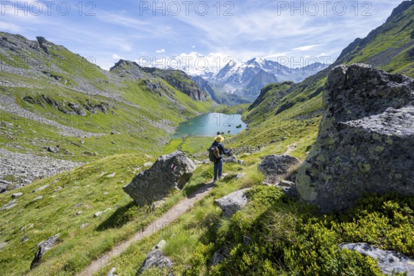 Mountaineer on hiking trail in picturesque mountain landscape, view of mountain lake Lac du Louvie and glaciated mountain peaks of the Grand Combine, Valais Alps, Val de Bagnes, Valais, Switzerland, Europe