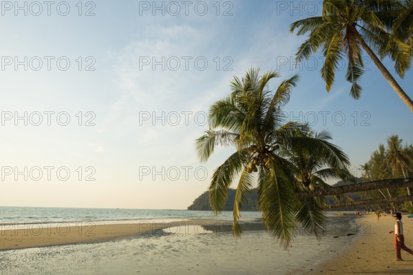 Sandy beach beach with coconut palms, Khlong Chao Beach, sunset, Koh Kood, Koh Kut, Gulf of Thailand, Thailand, Asia