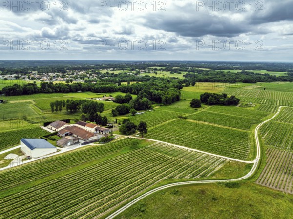 Vineyards and grape fields around Bordeaux from a drone, Saint-Mariens, Gironde, Nouvelle-Aquitaine, France, Europe