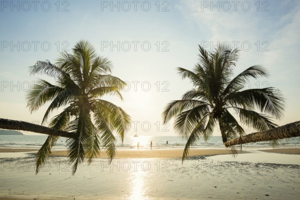 Sandy beach beach with coconut palms, Khlong Chao Beach, sunset, Koh Kood, Koh Kut, Gulf of Thailand, Thailand, Asia