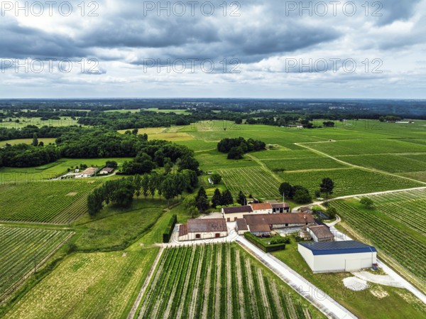 Vineyards and grape fields around Bordeaux from a drone, Saint-Mariens, Gironde, Nouvelle-Aquitaine, France, Europe