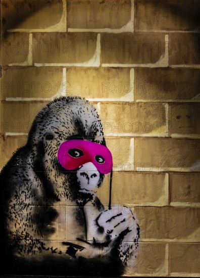 Banksy - Gorilla in a Pink Mask, mixture of carnival and confrontation, 2011, Eastville, Bristol, UK, exhibition The World of Banksy