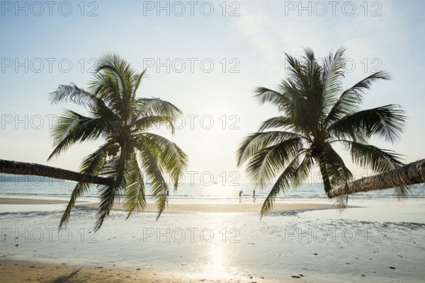 Sandy beach beach with coconut palms, Khlong Chao Beach, sunset, Koh Kood, Koh Kut, Gulf of Thailand, Thailand, Asia