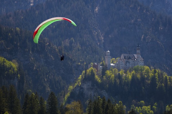 A paraglider flies high above Neuschwanstein Castle in the mountains, Schwangau near Füssen, Ostallgäu district, Swabia, Bavaria, Germany, Europe