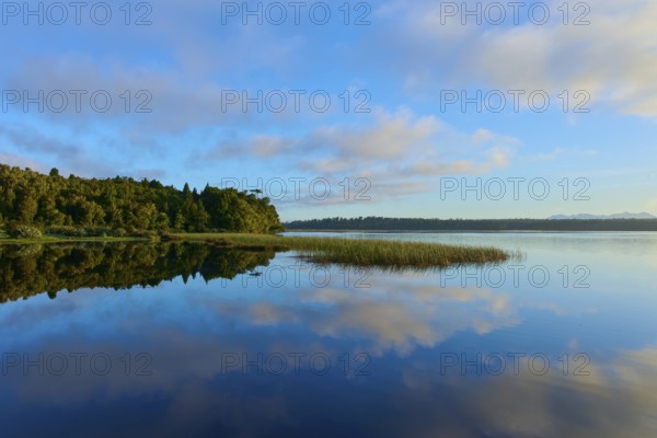 Blue sky and clouds reflected in a calm lake with a forested shore, Lake Mahinapua, Ruatapu, South Island, New Zealand, Oceania