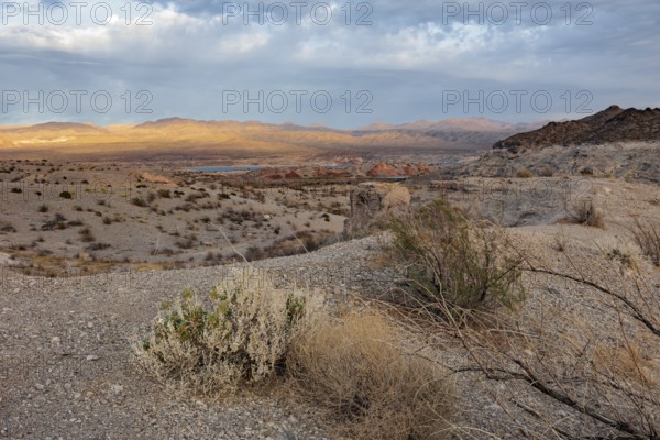 Echo wash drains into the Overton Arm of Lake Mead at Echo Bay, Nevada, USA, North America