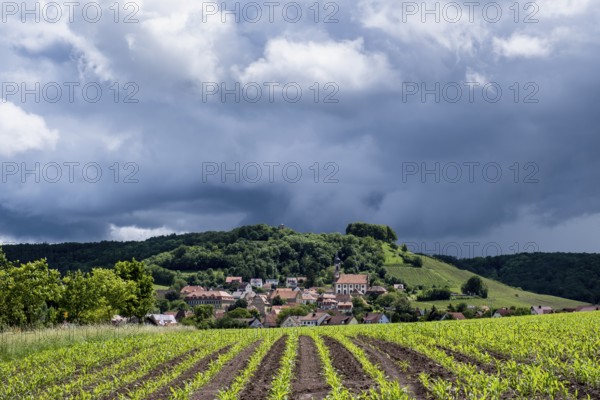 Dark clouds in the sky, Castell, Steigerwald nature park Park, Lower Franconia, Franconia, Germany, Europe