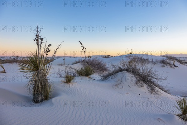 Gypsum dunefields at White Sands National Monument located within the Chihuahuan Desert and the Tularosa Basin near Alamorodo, New Mexico, USA, North America