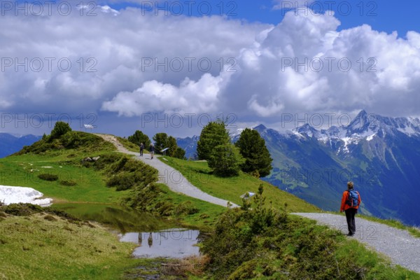 Hiker on the panorama trail, Penken, Finkenberg, Mayrhofen, Zillertal, Tyrol, Austria, Europe