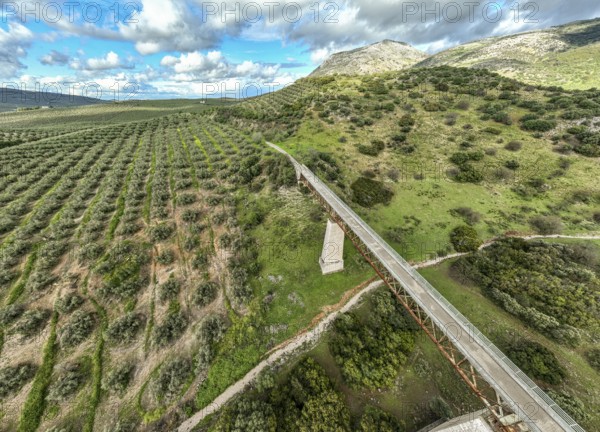 Cycle path Via Verde Del Aceite, old railroad track passes through olive fields, cycle path on bridge, near village Cabra, Andalusia, Spain, Europe