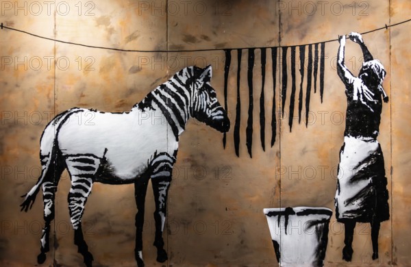 Banksy - Washing Zebra Stripes, Identity, Change and Perception, 2008, Timbuktu, Mali, exhibition The World of Banksy, Africa