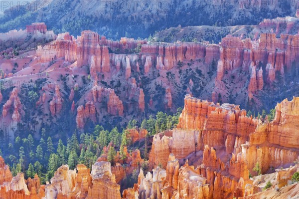 Bryce Canyon, Bryce Canyon National Park, Utah, USA, North America