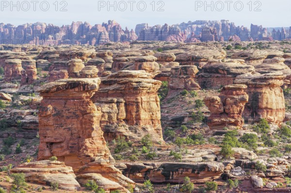 Rock formations, Chesler Park, The Needles district, Canyonlands National Park, Utah, USA, North America