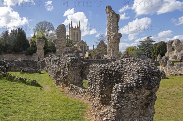 Ruins, St Edmund's Abbey, St Edmundsbury Cathedral, Bury St Edmunds, West Suffolk, England, Great Britain