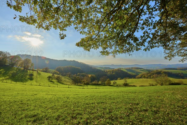 Sunny, picturesque landscape with green hills, trees and a clear sky in the background, Vöckelsbach, Mörlenbach, Bergstraße district, Odenwald, Hesse, Germany, Europe