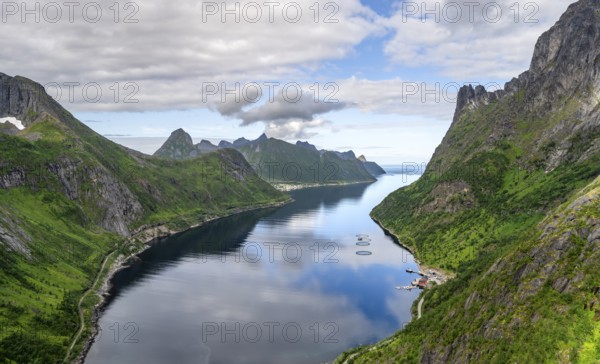 View of Øyfjorden fjord and mountains, fjord landscape with mountain peaks, hike to Barden mountain, Senja, Norway, Europe