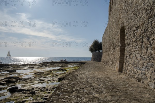 Southern city wall, Novigrad, Istria, Croatia, Europe
