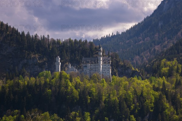 Neuschwanstein Castle against a backdrop of forest and mountains, Schwangau near Füssen, Ostallgäu district, Swabia, Bavaria, Germany, Europe
