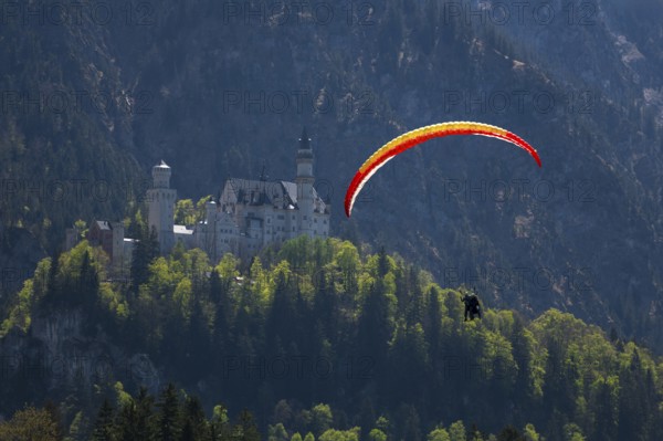 A paraglider glides over Neuschwanstein Castle against a mountainous backdrop, tandem, Schwangau near Füssen, Ostallgäu district, Swabia, Bavaria, Germany, Europe