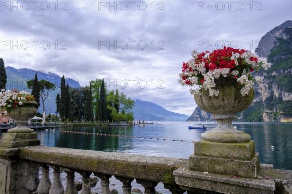 Flower amphora, Punta Lido, promenade, spa gardens, Riva del Garda, Lake Garda, Trentino, Trentino-Alto Adige, IItaly