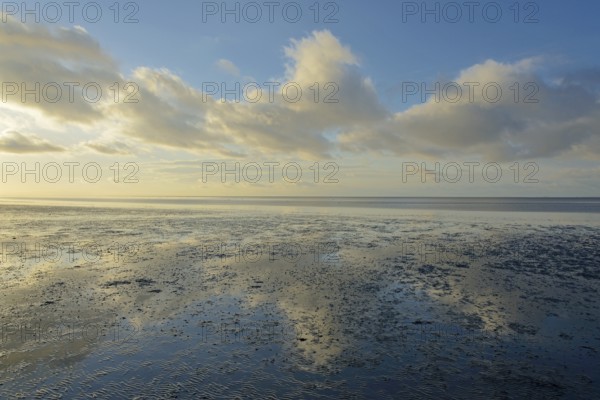 North Sea, Wadden Sea at low tide, blue sky with low clouds (cumulus), Norddeich, Lower Saxony, Germany, Europe