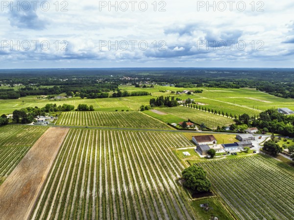 Vineyards and grape fields around Bordeaux from a drone, Saint-Mariens, Gironde, Nouvelle-Aquitaine, France, Europe
