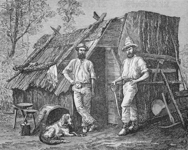 Gold diggers next to their bark hut, around 1870, Australia, digital reproduction of a historical model, Oceania