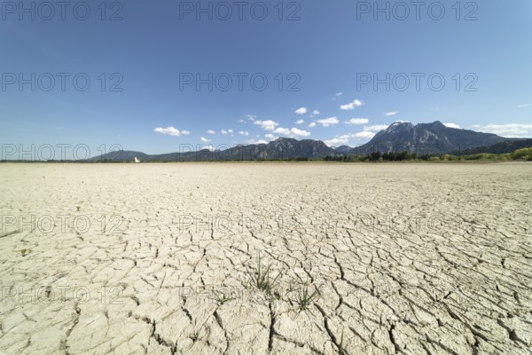 Cracked, dried out ground, waterless Forggensee in spring, behind it Tegelberg massif and Säuling, Ammergau Alps, near Füssen, Ostallgäu, Bavaria, Germany, Europe