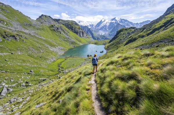 Mountaineer on hiking trail in picturesque mountain landscape, view of mountain lake Lac du Louvie and glaciated mountain peaks of the Grand Combine, Valais Alps, Val de Bagnes, Valais, Switzerland, Europe