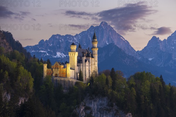 Fairytale castle against a mountain backdrop in the soft evening light, Neuschwanstein, Schwangau near Füssen, Ostallgäu district, Swabia, Bavaria, Germany, Europe